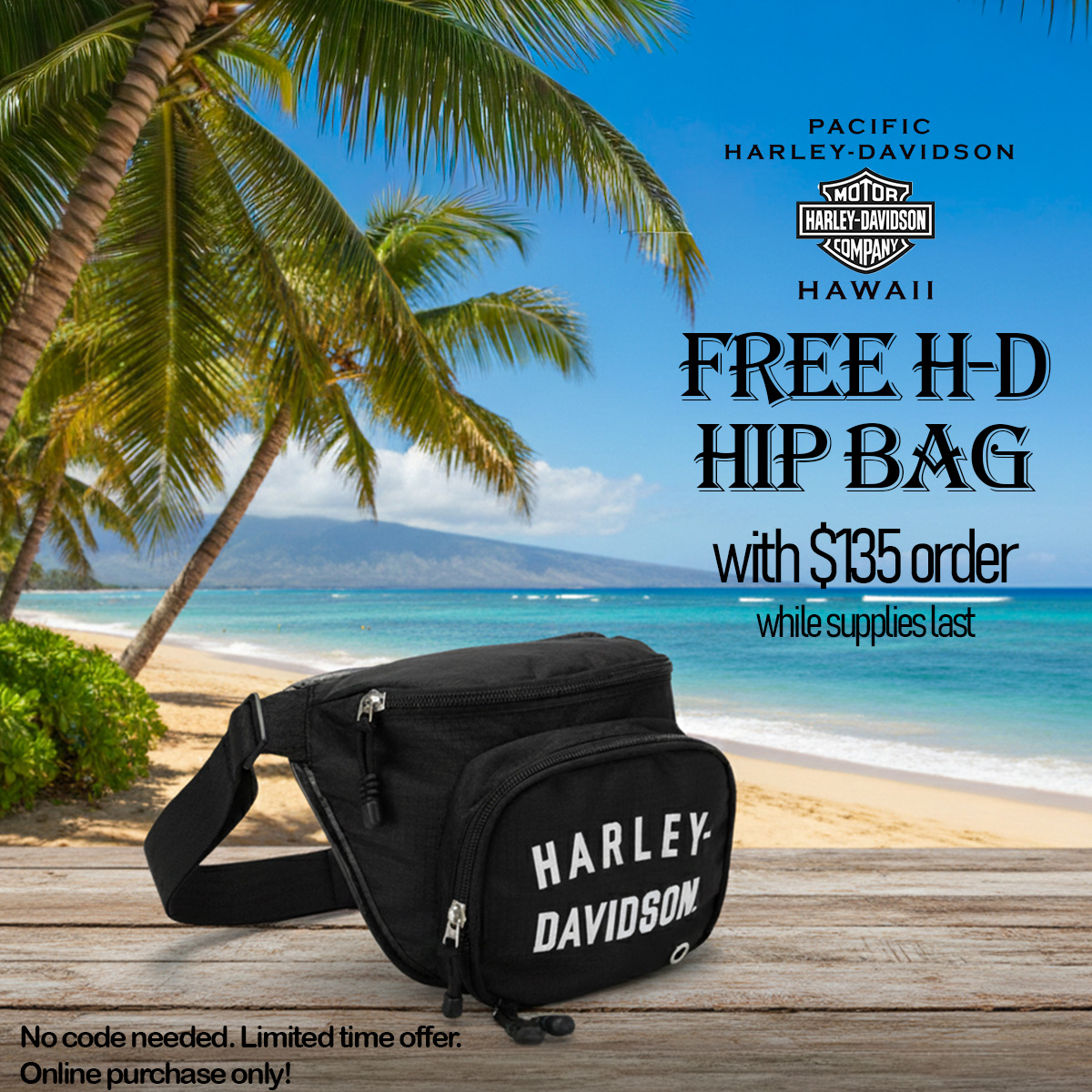 Qualifying orders of $135 or more will automatically include this FREE Harley-Davidson Black Ripstop Hip Bag  (while supplies last).