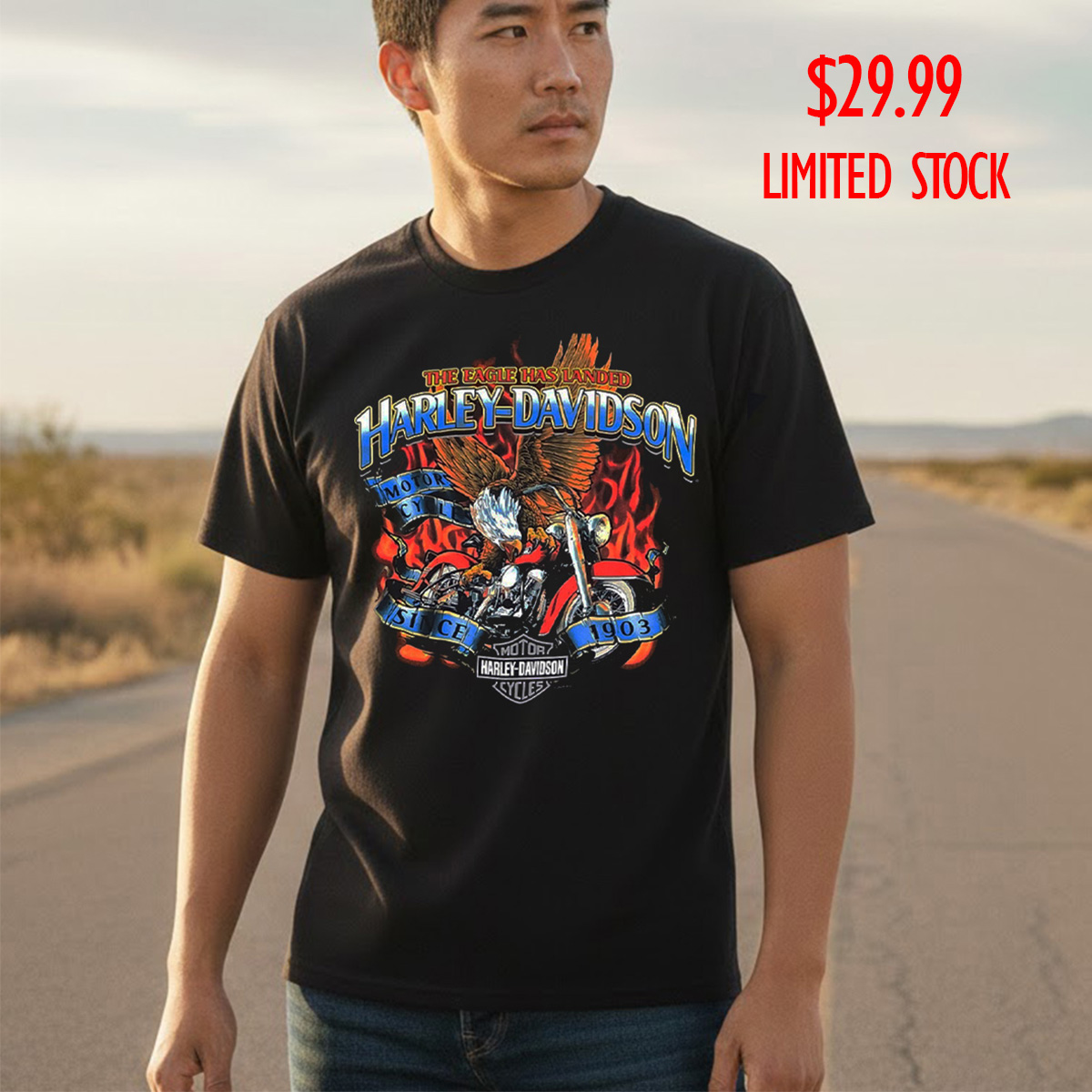 Harley-Davidson Men Eagle Landed T-Shirt