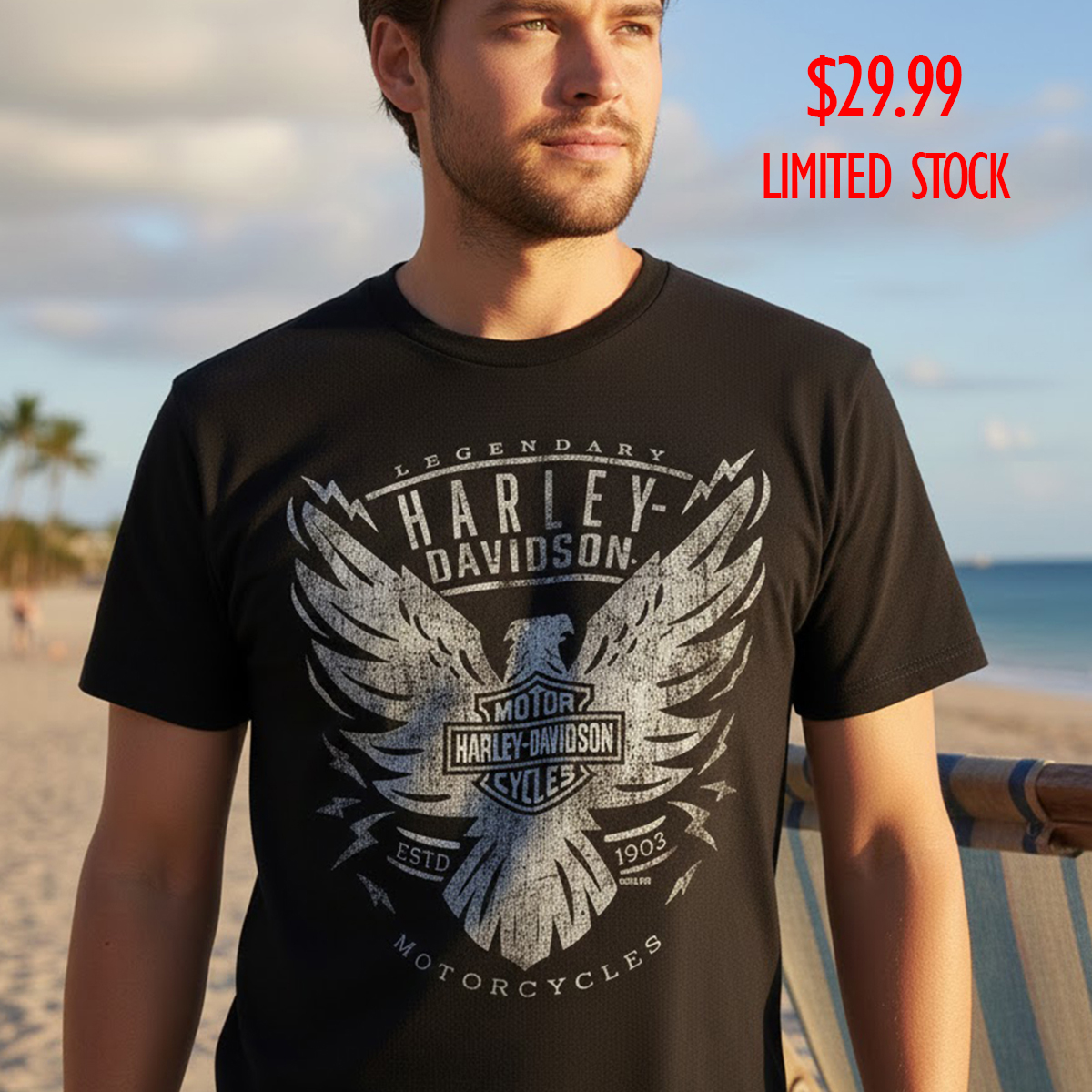 Harley-Davidson Men Strong T-shirt