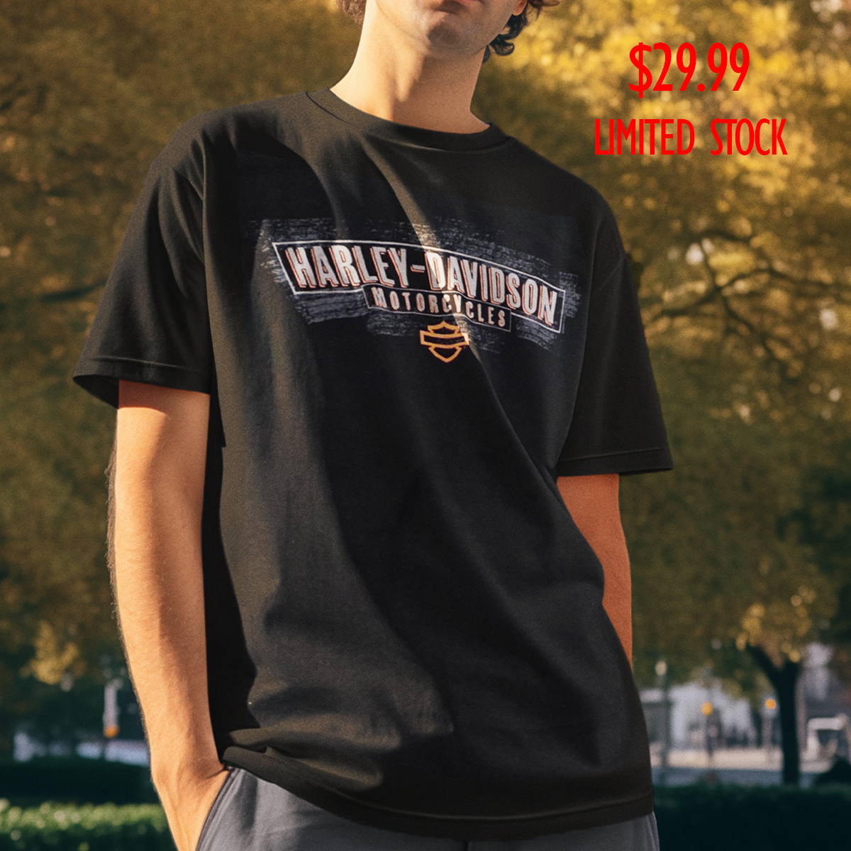 Harley-Davidson Men Box Curve T-shirt